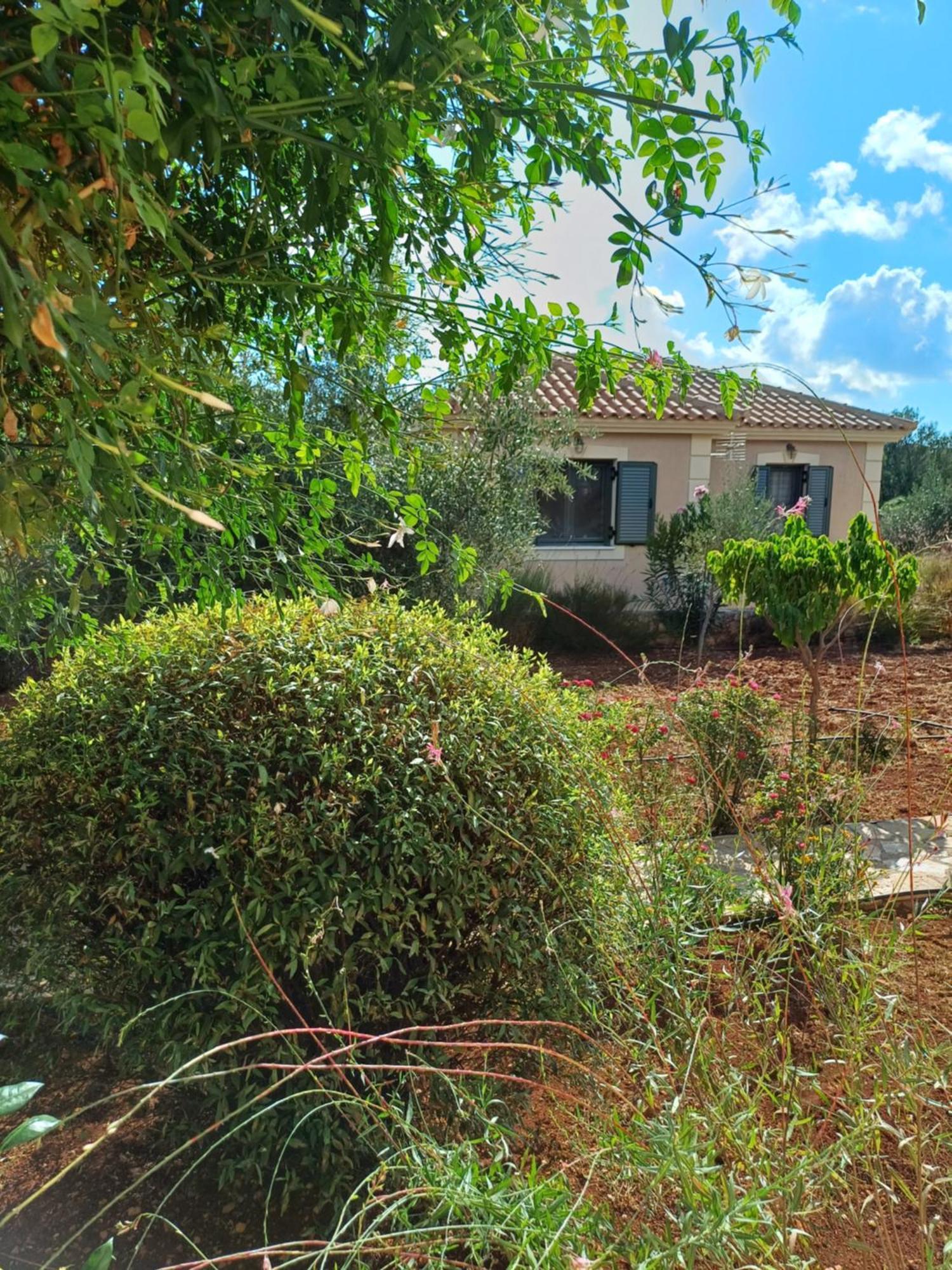 Korallis Villas Karavádhos Zimmer foto